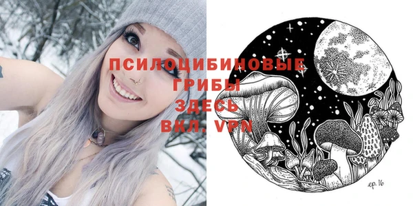 прущие крисы Тихвин