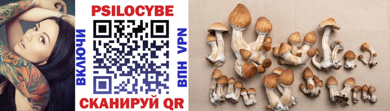 Галлюциногенные грибы Psilocybine cubensis Дмитров