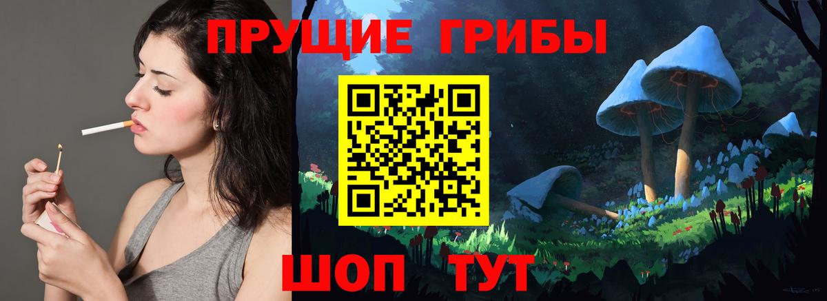 Галлюциногенные грибы Psilocybe Дмитров