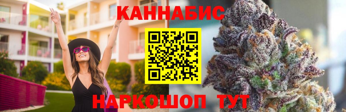 Бошки марихуана конопля  Дмитров  Конопля Amnesia 